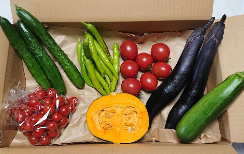 ほのぼの野菜ボックス