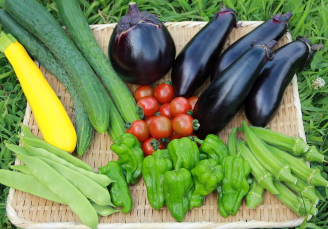安全でおいしい自然栽培の野菜たち