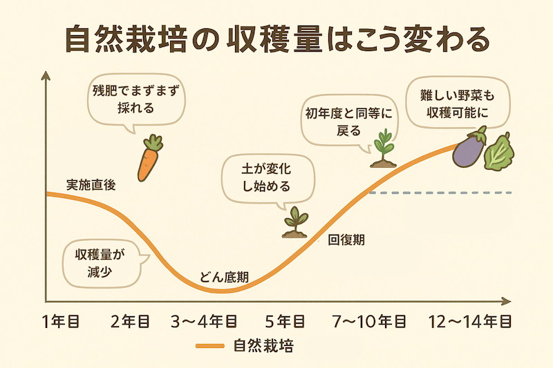 自然栽培における収穫量の変化グラフ